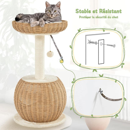 Arbre À Chat En Rotin Tour Pour Chat En Peluche Design Moderne Avec Cachette Coussin Souple Panier Supérieur Griffoir En Sisal 75 Cm De Haut