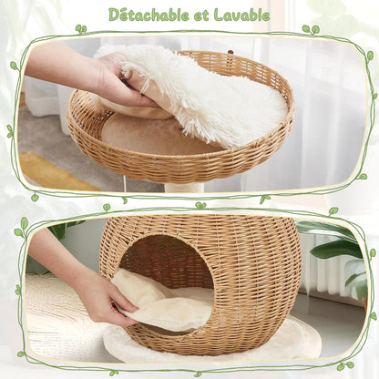 Arbre À Chat En Rotin Tour Pour Chat En Peluche Design Moderne Avec Cachette Coussin Souple Panier Supérieur Griffoir En Sisal 75 Cm De Haut
